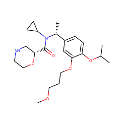 COCCCOc1cc([C@@H](C)N(C(=O)[C@H]2CNCCO2)C2CC2)ccc1OC(C)C ZINC001772654908