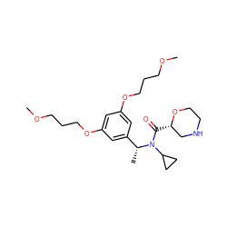 COCCCOc1cc(OCCCOC)cc([C@@H](C)N(C(=O)[C@H]2CNCCO2)C2CC2)c1 ZINC000203672845