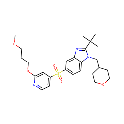 COCCCOc1cc(S(=O)(=O)c2ccc3c(c2)nc(C(C)(C)C)n3CC2CCOCC2)ccn1 ZINC000043178531