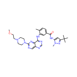 COCCN1CCN(c2ncc3ncnc(Nc4cc(C(=O)Nc5cc(C(C)(C)C)nn5C)ccc4C)c3n2)CC1 ZINC000148290455
