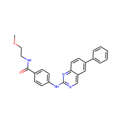 COCCNC(=O)c1ccc(Nc2ncc3cc(-c4ccccc4)ccc3n2)cc1 ZINC000095592266