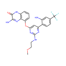 COCCNc1nc(Oc2cccc3[nH]c(=O)c(N)nc23)cc(-c2ccc(C(F)(F)F)cc2N)n1 ZINC000040401931