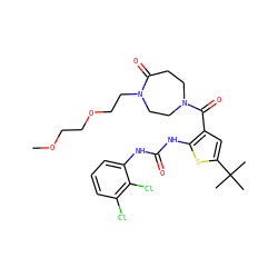 COCCOCCN1CCN(C(=O)c2cc(C(C)(C)C)sc2NC(=O)Nc2cccc(Cl)c2Cl)CCC1=O ZINC000073199497