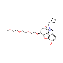 COCCOCCOCCO[C@H]1CC[C@@]2(O)[C@H]3Cc4ccc(O)c5c4[C@@]2(CCN3CC2CCC2)[C@H]1O5 ZINC000146293184