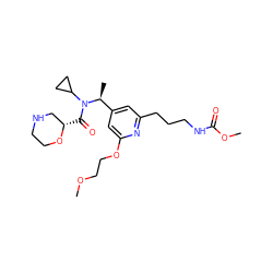 COCCOc1cc([C@H](C)N(C(=O)[C@H]2CNCCO2)C2CC2)cc(CCCNC(=O)OC)n1 ZINC001772581442