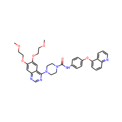 COCCOc1cc2ncnc(N3CCN(C(=O)Nc4ccc(Oc5cccc6ncccc56)cc4)CC3)c2cc1OCCOC ZINC000027210652