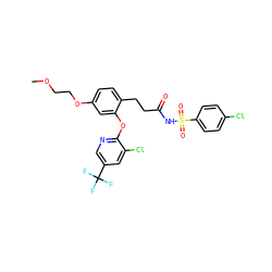 COCCOc1ccc(CCC(=O)NS(=O)(=O)c2ccc(Cl)cc2)c(Oc2ncc(C(F)(F)F)cc2Cl)c1 ZINC000084632177