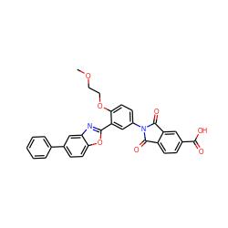 COCCOc1ccc(N2C(=O)c3ccc(C(=O)O)cc3C2=O)cc1-c1nc2cc(-c3ccccc3)ccc2o1 ZINC000026974351