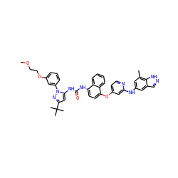 COCCOc1cccc(-n2nc(C(C)(C)C)cc2NC(=O)Nc2ccc(Oc3ccnc(Nc4cc(C)c5[nH]ncc5c4)c3)c3ccccc23)c1 ZINC001772623096