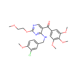 COCCOc1ncc(C(=O)c2cc(OC)c(OC)c(OC)c2)c(NCc2ccc(OC)c(Cl)c2)n1 ZINC000299820840