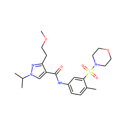 COCCc1nn(C(C)C)cc1C(=O)Nc1ccc(C)c(S(=O)(=O)N2CCOCC2)c1 ZINC000169340228