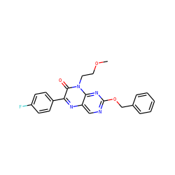COCCn1c(=O)c(-c2ccc(F)cc2)nc2cnc(OCc3ccccc3)nc21 ZINC000004238516