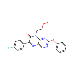 COCCn1c(=O)c(-c2ccc(F)cc2)nc2cnc(Oc3ccccc3)nc21 ZINC000004238643