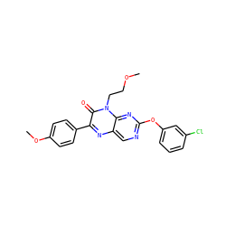 COCCn1c(=O)c(-c2ccc(OC)cc2)nc2cnc(Oc3cccc(Cl)c3)nc21 ZINC000004238248