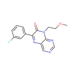 COCCn1c(=O)c(-c2cccc(F)c2)nc2cncnc21 ZINC000004238616