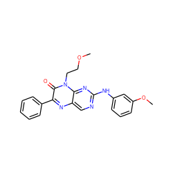 COCCn1c(=O)c(-c2ccccc2)nc2cnc(Nc3cccc(OC)c3)nc21 ZINC000004239042