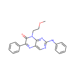COCCn1c(=O)c(-c2ccccc2)nc2cnc(Nc3ccccc3)nc21 ZINC000004238467