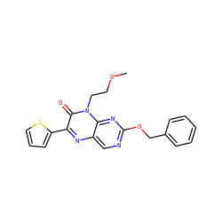 COCCn1c(=O)c(-c2cccs2)nc2cnc(OCc3ccccc3)nc21 ZINC000004238209