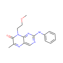COCCn1c(=O)c(C)nc2cnc(Nc3ccccc3)nc21 ZINC000004238767