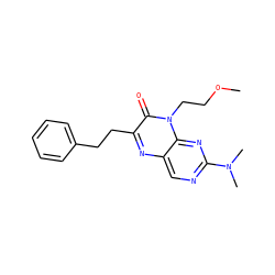 COCCn1c(=O)c(CCc2ccccc2)nc2cnc(N(C)C)nc21 ZINC000004238781
