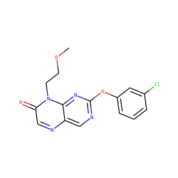 COCCn1c(=O)cnc2cnc(Oc3cccc(Cl)c3)nc21 ZINC000004238845