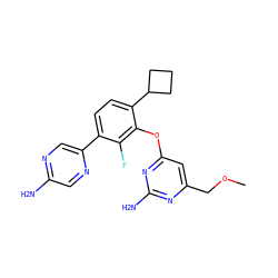 COCc1cc(Oc2c(C3CCC3)ccc(-c3cnc(N)cn3)c2F)nc(N)n1 ZINC000224565180