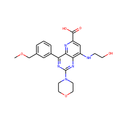 COCc1cccc(-c2nc(N3CCOCC3)nc3c(NCCO)cc(C(=O)O)nc23)c1 ZINC000143045979