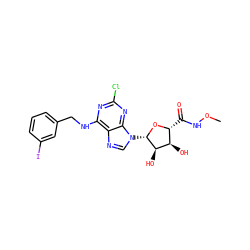 CONC(=O)[C@H]1O[C@@H](n2cnc3c(NCc4cccc(I)c4)nc(Cl)nc32)[C@H](O)[C@@H]1O ZINC000049878048