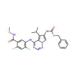 CONC(=O)c1cc(Nc2ncnn3cc(NC(=O)OCc4ccccc4)c(C(C)C)c23)c(F)cc1F ZINC000013645286