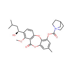 COc1c([C@@H](O)CC(C)C)ccc2c1C(=O)Oc1cc(C)cc(OC(=O)[N+]34CCC(CC3)C4)c1O2 ZINC000028463801