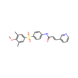 COc1c(C)cc(S(=O)(=O)c2ccc(NC(=O)/C=C/c3cccnc3)cc2)cc1C ZINC000142354864