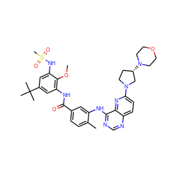 COc1c(NC(=O)c2ccc(C)c(Nc3ncnc4ccc(N5CC[C@H](N6CCOCC6)C5)nc34)c2)cc(C(C)(C)C)cc1NS(C)(=O)=O ZINC000096175740