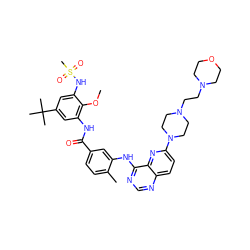 COc1c(NC(=O)c2ccc(C)c(Nc3ncnc4ccc(N5CCN(CCN6CCOCC6)CC5)nc34)c2)cc(C(C)(C)C)cc1NS(C)(=O)=O ZINC000096175739