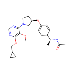 COc1c(OCC2CC2)ncnc1N1CC[C@@H](Oc2ccc([C@H](C)NC(C)=O)cc2)C1 ZINC000261100395