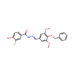 COc1cc(/C=N/NC(=O)c2ccc(O)c(Cl)c2)cc(OC)c1OCc1ccccc1 ZINC000029126244