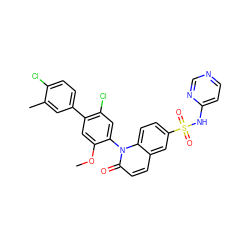 COc1cc(-c2ccc(Cl)c(C)c2)c(Cl)cc1-n1c(=O)ccc2cc(S(=O)(=O)Nc3ccncn3)ccc21 ZINC001772579686