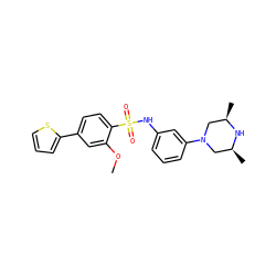 COc1cc(-c2cccs2)ccc1S(=O)(=O)Nc1cccc(N2C[C@H](C)N[C@H](C)C2)c1 ZINC000038217127