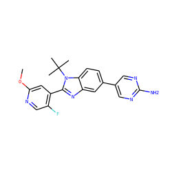 COc1cc(-c2nc3cc(-c4cnc(N)nc4)ccc3n2C(C)(C)C)c(F)cn1 ZINC000169259281