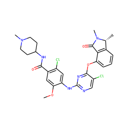 COc1cc(C(=O)NC2CCN(C)CC2)c(Cl)cc1Nc1ncc(Cl)c(Oc2cccc3c2C(=O)N(C)[C@@H]3C)n1 ZINC000146046074