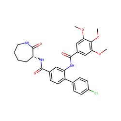 COc1cc(C(=O)Nc2cc(C(=O)N[C@@H]3CCCCNC3=O)ccc2-c2ccc(Cl)cc2)cc(OC)c1OC ZINC000026184482