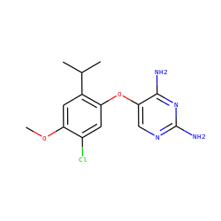 COc1cc(C(C)C)c(Oc2cnc(N)nc2N)cc1Cl ZINC000040834188
