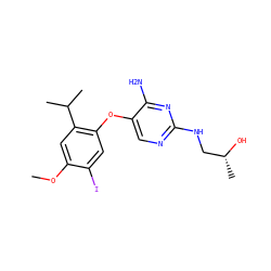 COc1cc(C(C)C)c(Oc2cnc(NC[C@@H](C)O)nc2N)cc1I ZINC000040952939