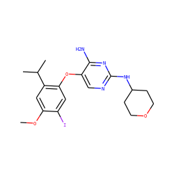 COc1cc(C(C)C)c(Oc2cnc(NC3CCOCC3)nc2N)cc1I ZINC000040955955