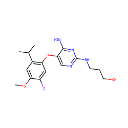COc1cc(C(C)C)c(Oc2cnc(NCCCO)nc2N)cc1I ZINC000040972456