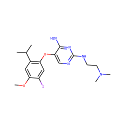 COc1cc(C(C)C)c(Oc2cnc(NCCN(C)C)nc2N)cc1I ZINC000040954761