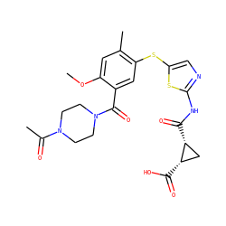 COc1cc(C)c(Sc2cnc(NC(=O)[C@@H]3C[C@@H]3C(=O)O)s2)cc1C(=O)N1CCN(C(C)=O)CC1 ZINC000036184862