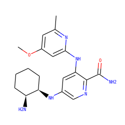COc1cc(C)nc(Nc2cc(N[C@@H]3CCCC[C@@H]3N)cnc2C(N)=O)c1 ZINC000205283803