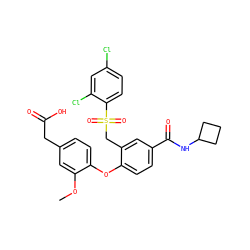 COc1cc(CC(=O)O)ccc1Oc1ccc(C(=O)NC2CCC2)cc1CS(=O)(=O)c1ccc(Cl)cc1Cl ZINC000082157752