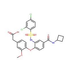 COc1cc(CC(=O)O)ccc1Oc1ccc(C(=O)NC2CCC2)cc1NS(=O)(=O)c1ccc(Cl)cc1Cl ZINC000049694420