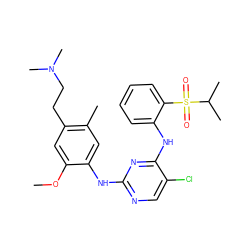 COc1cc(CCN(C)C)c(C)cc1Nc1ncc(Cl)c(Nc2ccccc2S(=O)(=O)C(C)C)n1 ZINC001772617377